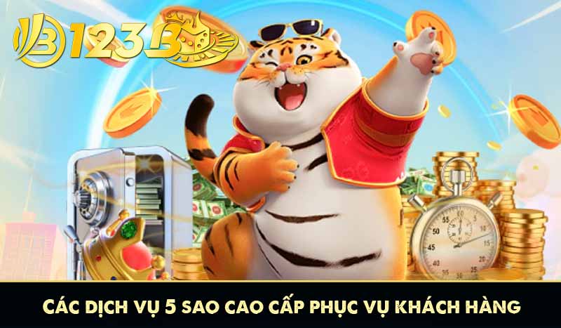 GIỚI THIỆU 12 Các dịch vụ 5 sao cao cấp phục vụ khách hàng
